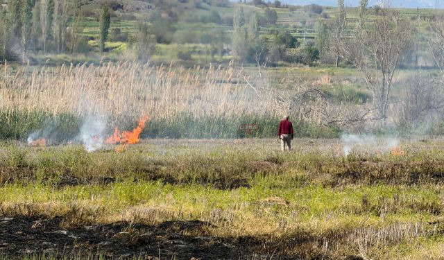 Doğa Katliamı! Sazlıklar Yakıldı, Canlıların Yaşam Alanı Yok Edildi