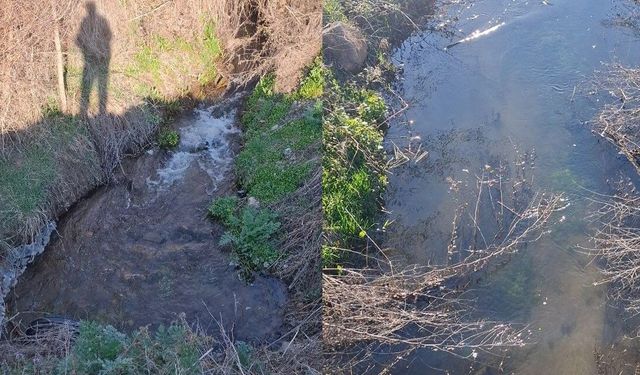 Sevindiren Gelişme! 6 Yıl Sonra Yeniden Akmaya Başladı