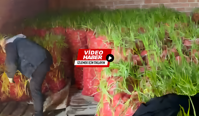 Çorum’da Üretici Çaresiz! Tonlarca Soğan Depoda Çürüdü