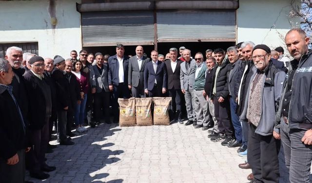 Alaca’da 244 Çiftçiye Ayçiçeği Tohumu Desteği