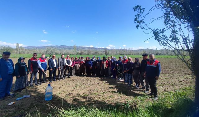 Çorum Tarımı Sahada: İl Müdürü Hasan Taş’tan Sungurlu’da Üretici Buluşması