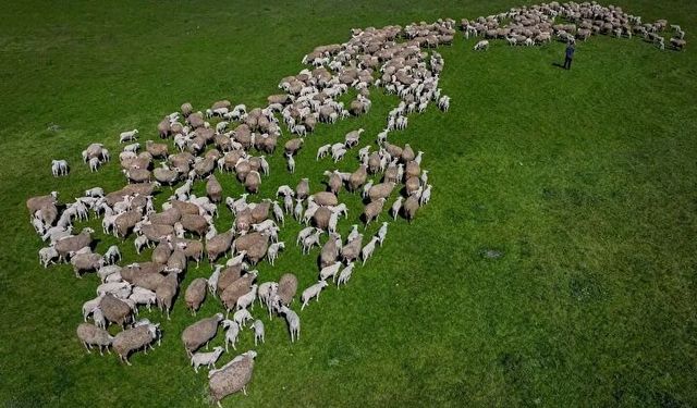 Kendi İşinin Hayalini Kuranlar Dikkat! Başvurular Başladı