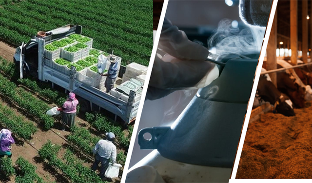 Hesaplara Tam 17 Milyar TL Yatırıldı!