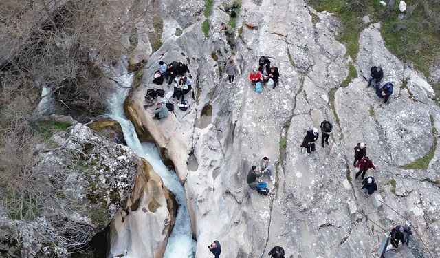 İlkbaharda Büyülüyor: Doğa Tutkunlarının Gözdesi