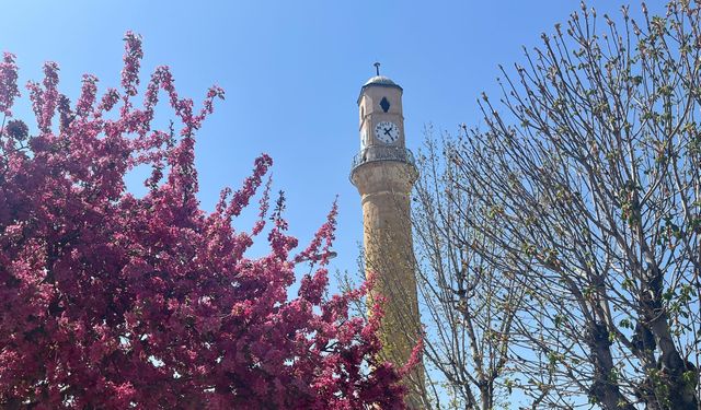 Çorum’da Baharın Renkleri Saat Kulesi Çevresini Süsledi