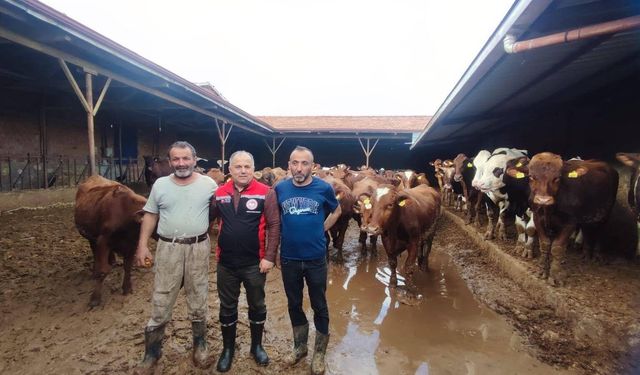 Makamı Bıraktı, Sahadan Gelmiyor!