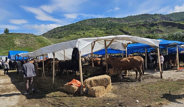 Bayat’ta Hayvan Pazarı Açıldı