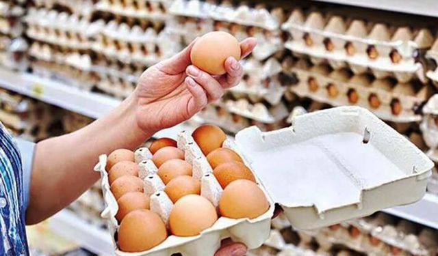 Yumurtada Üretim Rekoru, Fiyatlarda Sert Düşüş!