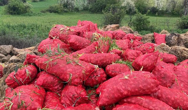 Zam Beklentisi Hüsranla Bitti: Tonlarca Soğan Yol Kenarına Döküldü!