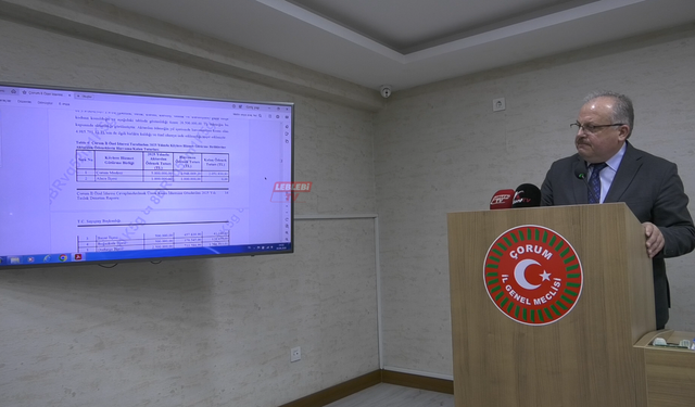 KÖYDES'e Bütçe Aktarımlarına Sayıştay Freni!