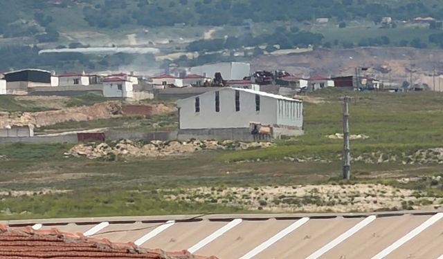 Asayiş