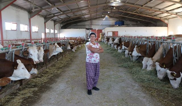 TKDK'dan Hayvancılık Yatırımlarına 30 Milyon Avroluk Hibe Desteği