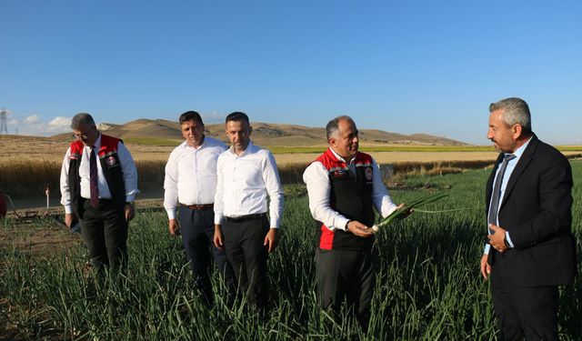 Mecitözü'nde Tarımsal Üretim Yerinde İncelendi