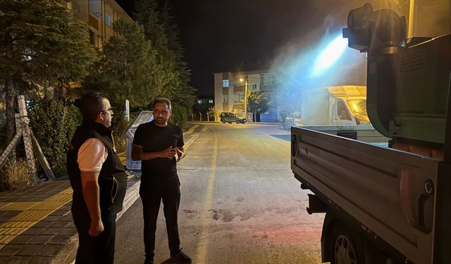 Sinek Ve Sivrisineğe Karşı Yoğun Mücadele
