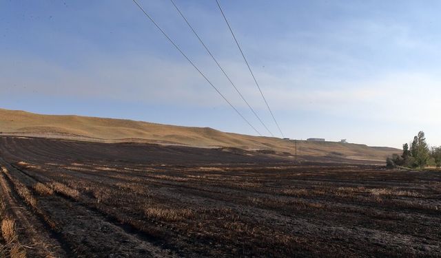 Asayiş