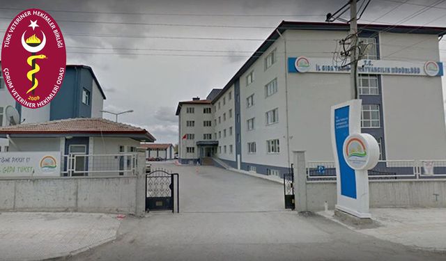 Veteriner Ve Sağlık Teknikerine Saldırı Kınandı