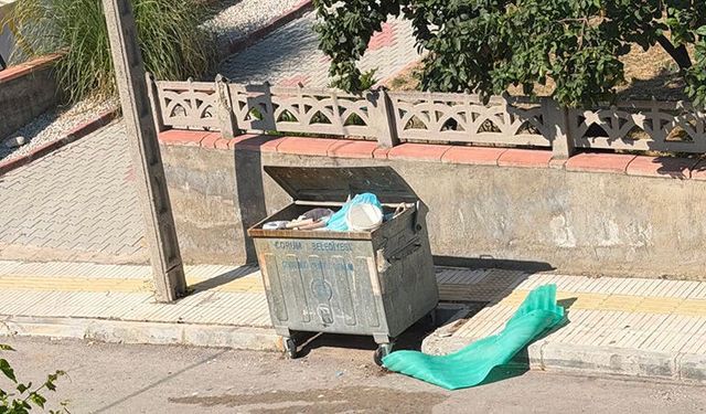 Beytepe 2. Cadde Çöp Kokusu Ve Sinekten Dertli