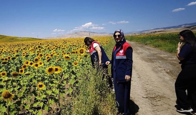 Çorum'da Tarım Arazilerinde CBS Denetimleri Sürüyor