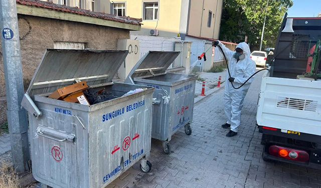 Sungurlu Belediyesi Haşereye Karşı Mücadeleyi Sürdürüyor
