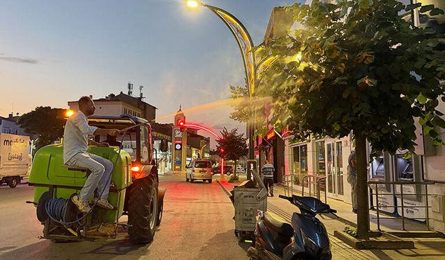 Alaca Belediyesi'nden Haşere Operasyonu