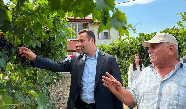 Kaymakam Şimşek Aşdağul’da Bağ Alanlarını Gezdi