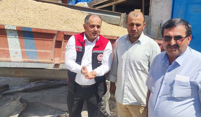 Hacıpaşa Köyü’nde Önce Hasat Sonra İstişare