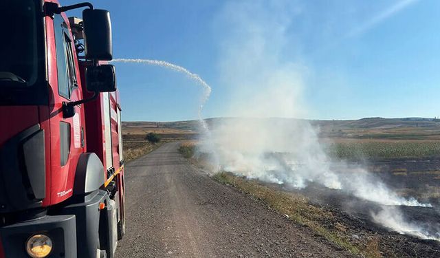 Tarla Yangını Büyümeden Söndürüldü