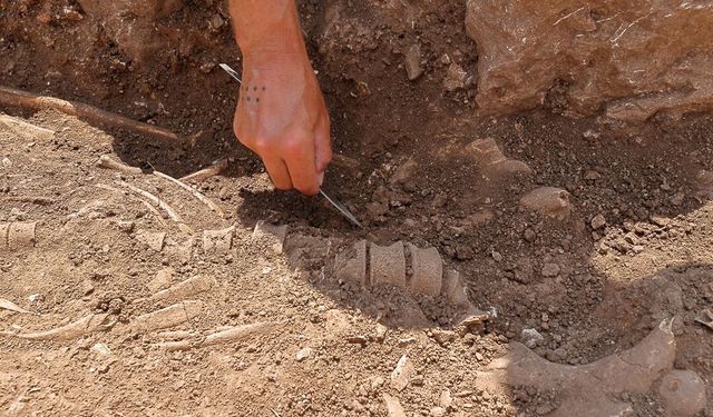 Çorum’da 2 Bin 300 Yıllık Yeni Mezarlar Bulundu