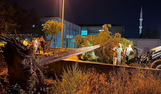 Asayiş