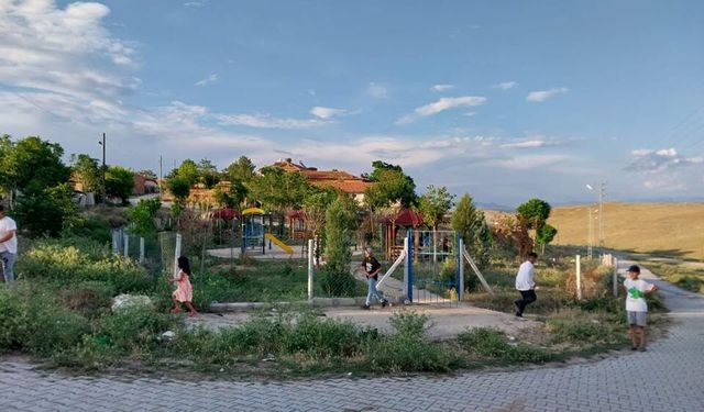Asayiş