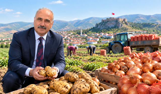 İskilip, Patates Ve Kuru Soğan Üretim Havzasına Dahil Edildi