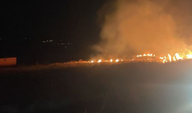 İtfaiyenin Çabası Ormanın Yanmasını Önledi