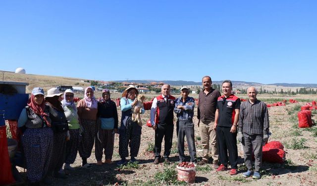 Karapürçek Köyü’nde Soğan Üretimi Yerinde İncelendi