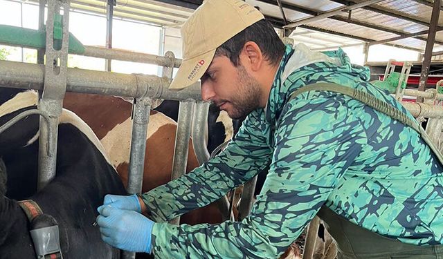 Ari İşletmelerde Hastalık Tarama Çalışmaları Devam Ediyor