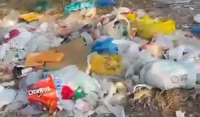 “Aslan yattığı yerden belli olur” deyip pisletip gittiler