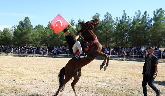 Çorum’da Rahvan At Yarışlarına Yoğun İlgi