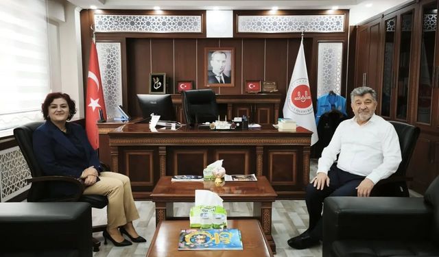 Boşanma Sürecinde Danışmalık ve Aile Danışmanlığı Hizmetleri Kamu Kurumlarında Tanıtıldı