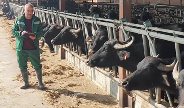 Manda Islahı Projesi kapsamında saha çalışmaları yapıldı