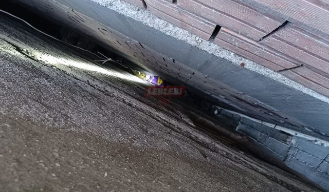 Apartman Boşluğuna Düşen Yavru Kediyi İtfaiye Kurtardı