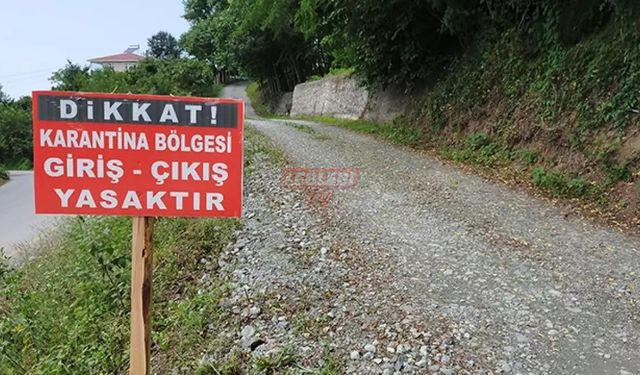 Sungurlu’da Şap Alarmı! 15 Köy Karantinaya Alındı