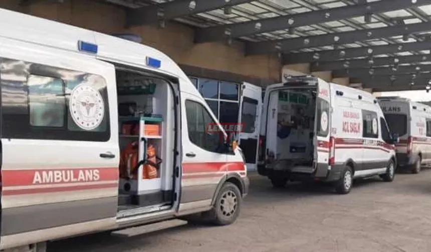 Ceviz Ağacından Düşen İki Kişi Yaralandı