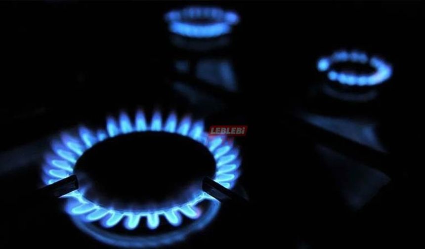 Doğal Gaz Desteği 188 Lira İla 438 Liraya Yükseltildi