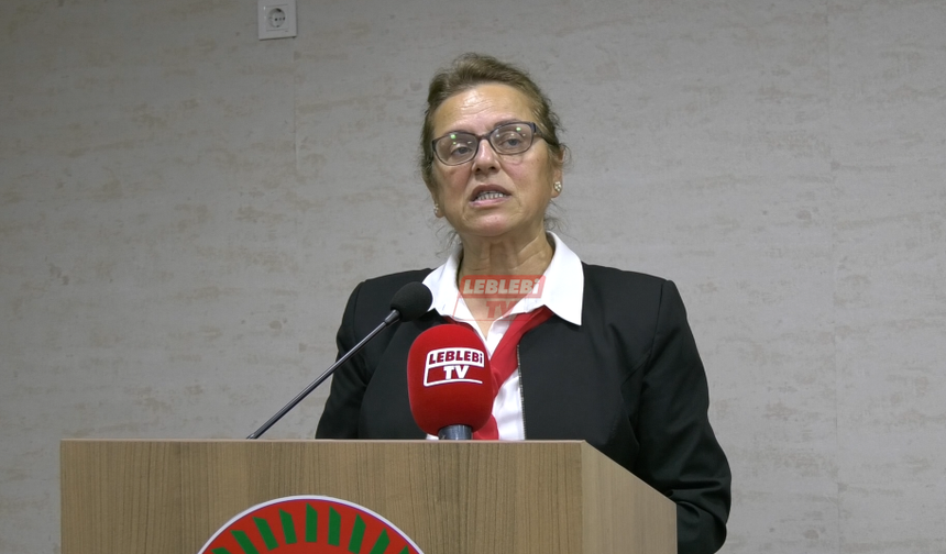 Bek, “Kadınların Temsildeki Oranı Pek İç Açıcı Değil”