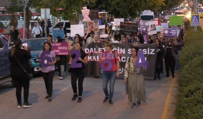 CHP’li Güngör, “Hükümet Kadına Yönelik Şiddeti Önlemede Yetersiz Kalıyor”