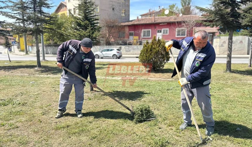 Sungurlu’da Refüj ve Park Temizliği