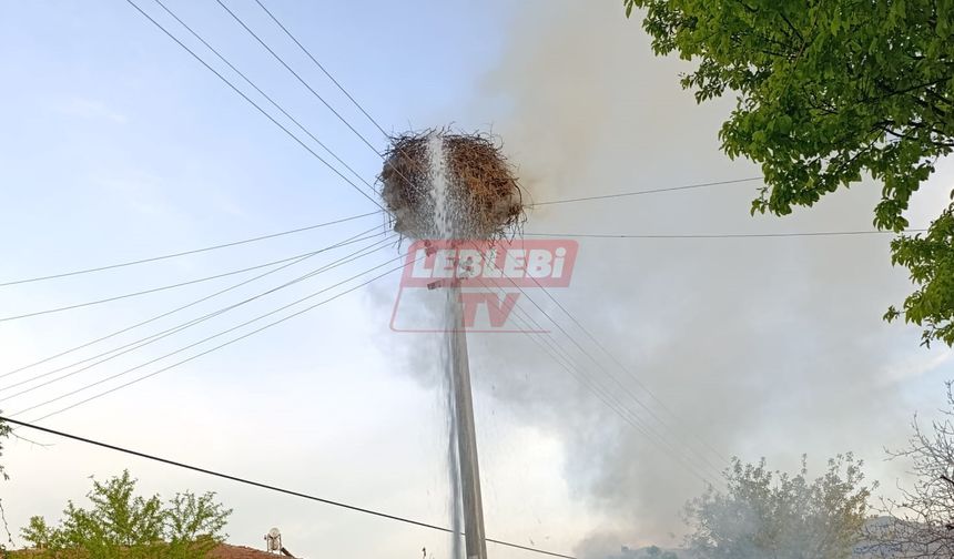 Yangın Çıkan Leylek Yuvası Kullanılamaz Hale Geldi