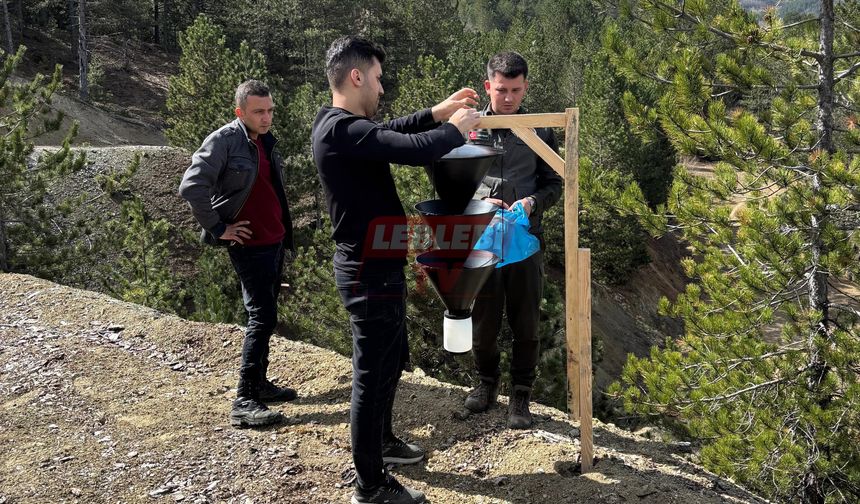 İskilip ve Kavak’ta Orman Zararlılarıyla Biyoteknik Mücadele Devam Ediyor