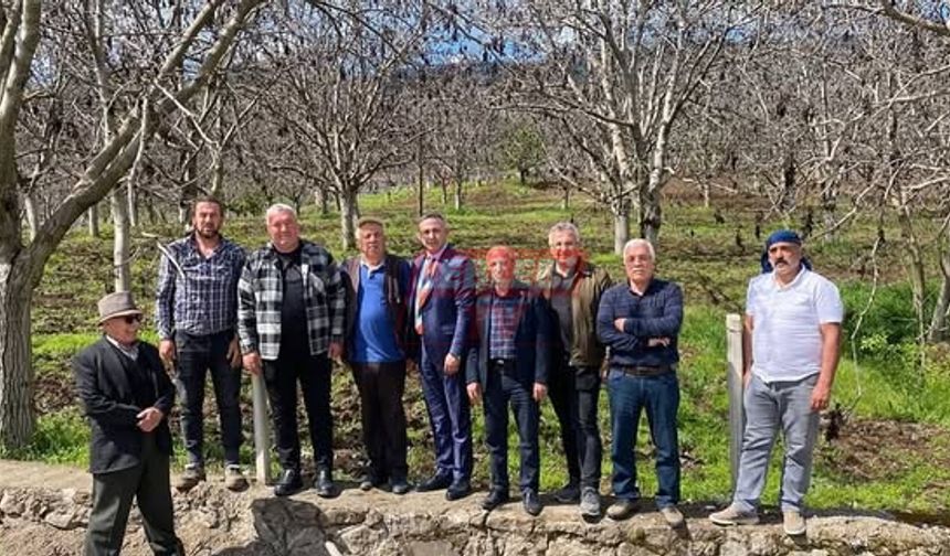 Ceviz Üreticileri Zararlarının Netleştirilerek Bir An Önce Karşılanmasını Bekliyor