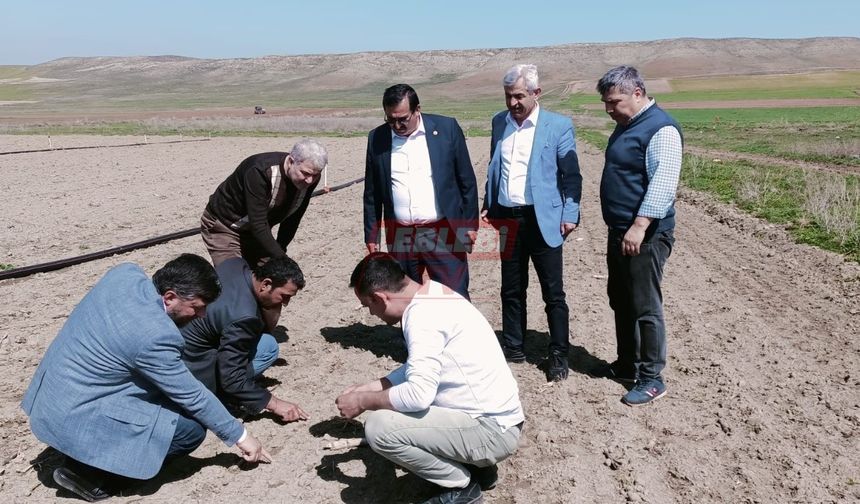 Alagöz, “Son 30 Yılın En Büyük Zirai Don Olayı"
