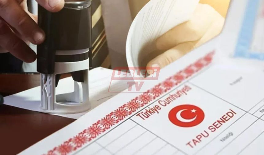 Tapuda Vergi Kaçıranlar Bakanlığın Radarında